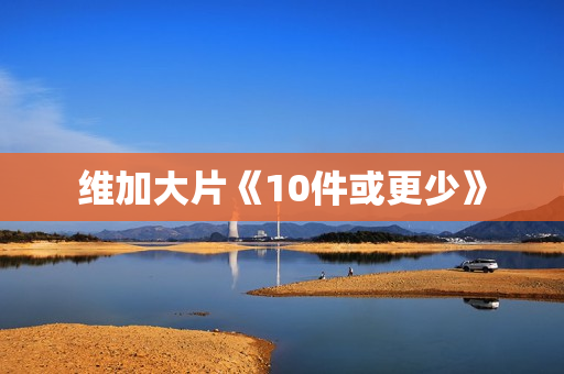 维加大片《10件或更少》