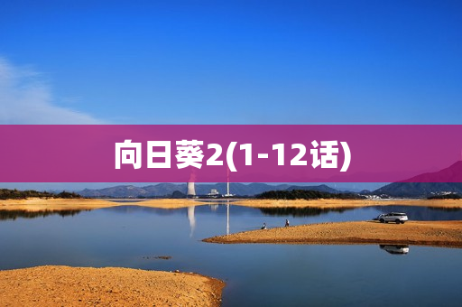 向日葵2(1-12话)