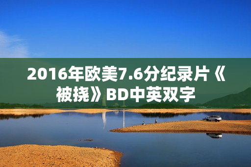 2016年欧美7.6分纪录片《被挠》BD中英双字