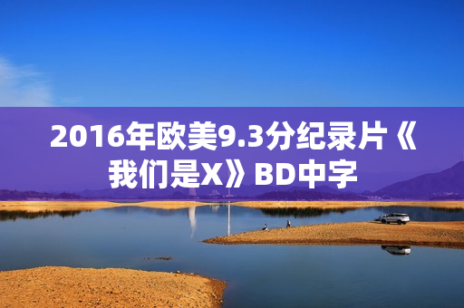 2016年欧美9.3分纪录片《我们是X》BD中字
