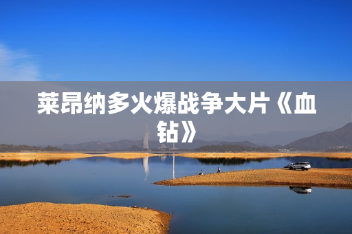 莱昂纳多火爆战争大片《血钻》