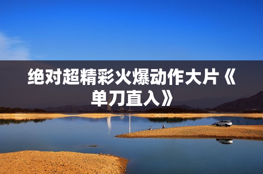 绝对超精彩火爆动作大片《单刀直入》