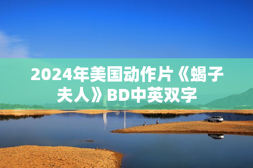 2024年美国动作片《蝎子夫人》BD中英双字