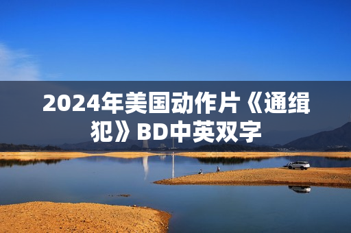 2024年美国动作片《通缉犯》BD中英双字