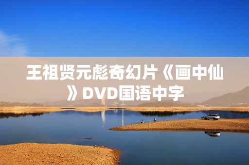 王祖贤元彪奇幻片《画中仙》DVD国语中字