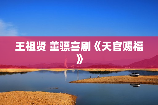 王祖贤 董骠喜剧《天官赐福》