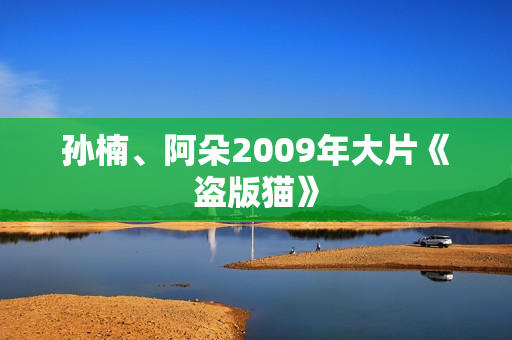 孙楠、阿朵2009年大片《盗版猫》