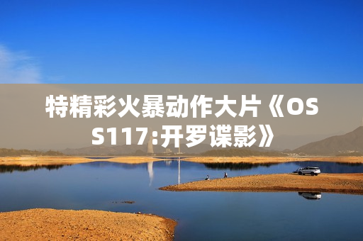 特精彩火暴动作大片《OSS117:开罗谍影》