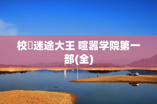 校園迷途大王 喧嚣学院第一部(全)