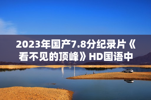 2023年国产7.8分纪录片《看不见的顶峰》HD国语中英双字