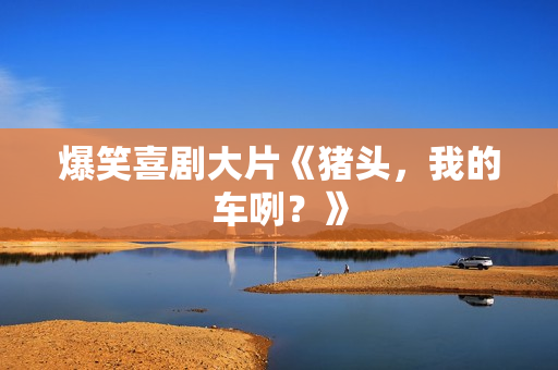 爆笑喜剧大片《猪头，我的车咧？》