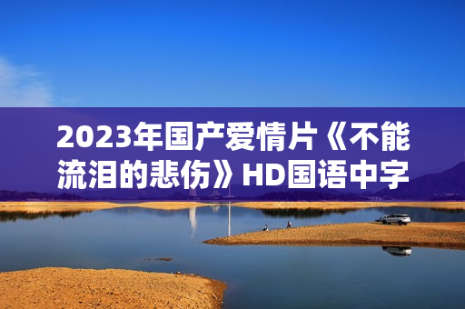 2023年国产爱情片《不能流泪的悲伤》HD国语中字