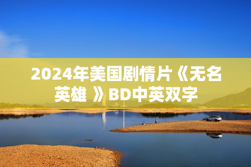 2024年美国剧情片《无名英雄 》BD中英双字