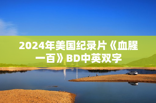 2024年美国纪录片《血腥一百》BD中英双字