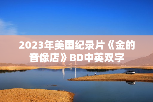 2023年美国纪录片《金的音像店》BD中英双字