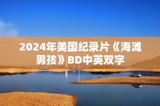 2024年美国纪录片《海滩男孩》BD中英双字
