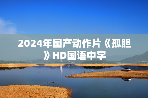 2024年国产动作片《孤胆》HD国语中字
