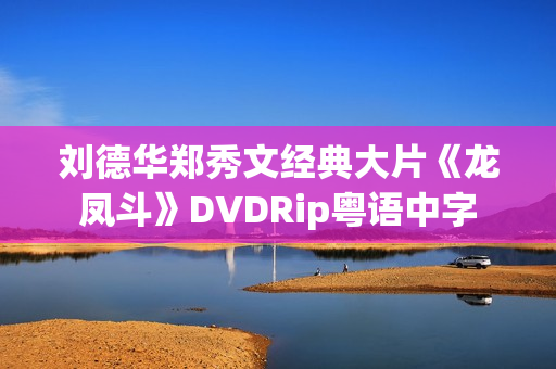 刘德华郑秀文经典大片《龙凤斗》DVDRip粤语中字
