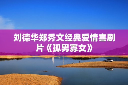 刘德华郑秀文经典爱情喜剧片《孤男寡女》 刘德华郑秀文经典爱情喜剧片《孤男寡女》