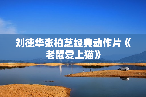 刘德华张柏芝经典动作片《老鼠爱上猫》 刘德华张柏芝经典动作片《老鼠爱上猫》
