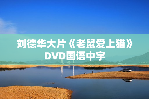 刘德华大片《老鼠爱上猫》DVD国语中字 刘德华大片《老鼠爱上猫》DVD国语中字