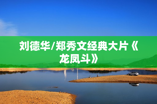 刘德华/郑秀文经典大片《龙凤斗》