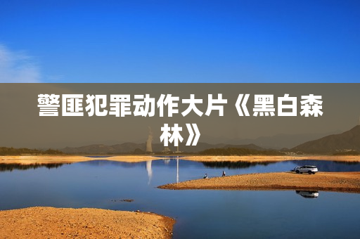 警匪犯罪动作大片《黑白森林》
