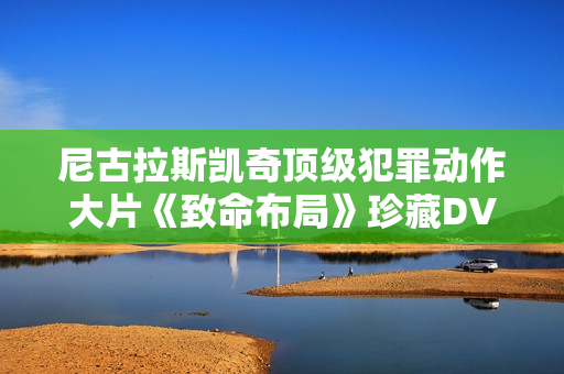 尼古拉斯凯奇顶级犯罪动作大片《致命布局》珍藏DVD