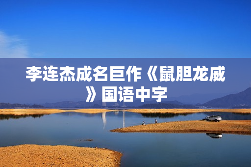 李连杰成名巨作《鼠胆龙威》国语中字