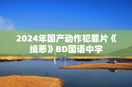 2024年国产动作犯罪片《缉恶》BD国语中字