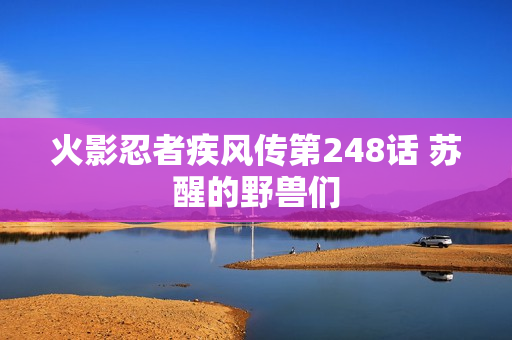 火影忍者疾风传第248话 苏醒的野兽们