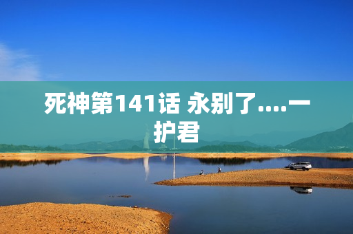 死神第141话 永别了....一护君