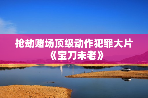 抢劫赌场顶级动作犯罪大片《宝刀未老》