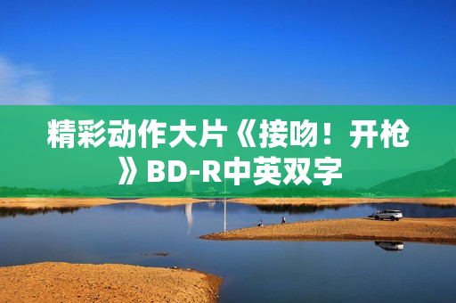 精彩动作大片《接吻！开枪》BD-R中英双字