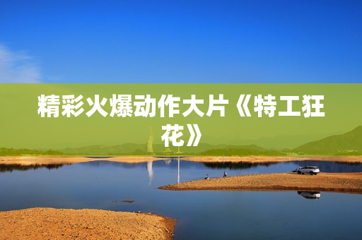 精彩火爆动作大片《特工狂花》