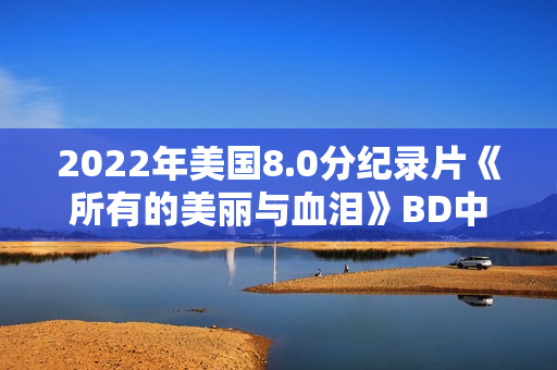 2022年美国8.0分纪录片《所有的美丽与血泪》BD中英双字