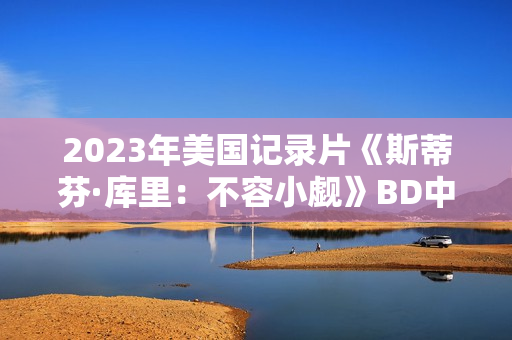 2023年美国记录片《斯蒂芬·库里：不容小觑》BD中英双字
