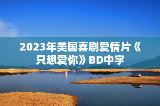 2023年美国喜剧爱情片《只想爱你》BD中字