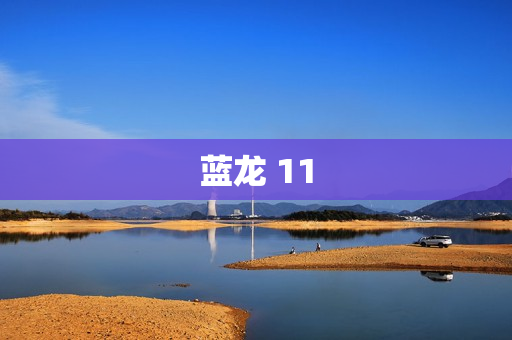 蓝龙 11