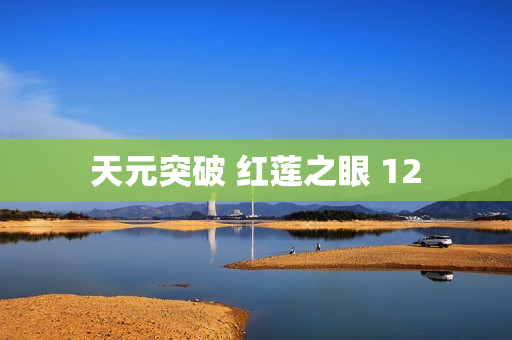 天元突破 红莲之眼 12