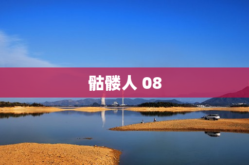 骷髅人 08