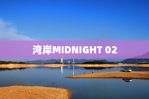 湾岸MIDNIGHT 02