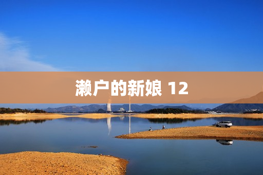 濑户的新娘 12