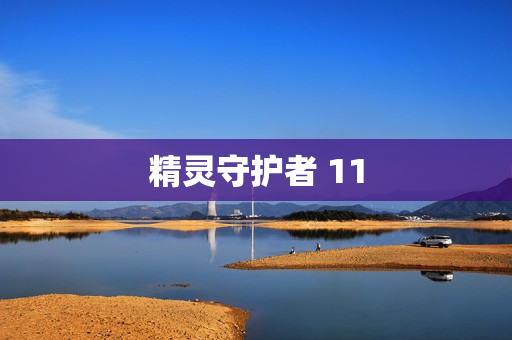 精灵守护者 11