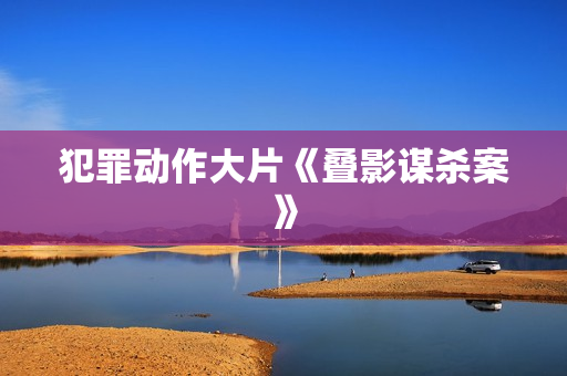 犯罪动作大片《叠影谋杀案》