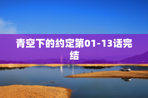 青空下的约定第01-13话完结