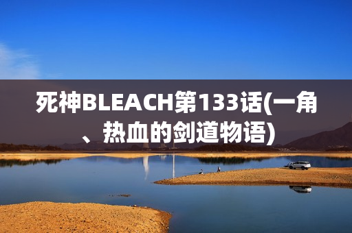 死神BLEACH第133话(一角、热血的剑道物语)