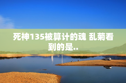 死神135被算计的魂 乱菊看到的是..