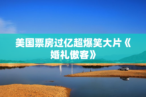 美国票房过亿超爆笑大片《婚礼傲客》