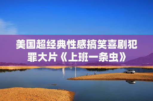美国超经典性感搞笑喜剧犯罪大片《上班一条虫》
